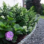 Lawendowe Wzgorze 21 Dom Z Jacuzzi Na Wylacznosc Jaktstuga Wegierska Gorka