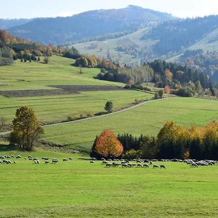 Lawendowe Wzgórze 21 Dom Z Jacuzzi Na Wyłączność *