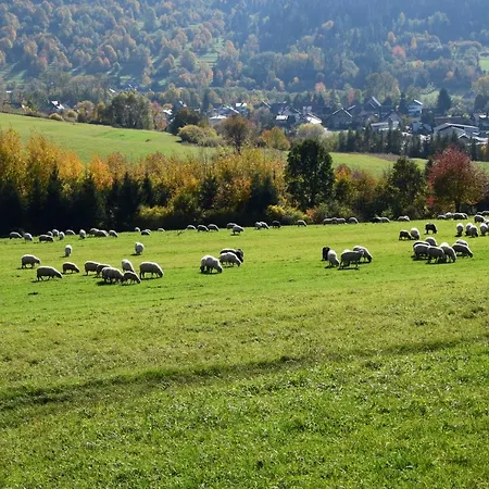 Lawendowe Wzgórze 21 *