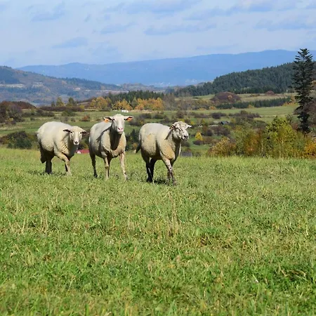 Lawendowe Wzgórze 21 Dom Z Jacuzzi Na Wyłączność Alojamento de Turismo Selvagem Wegierska Gorka
