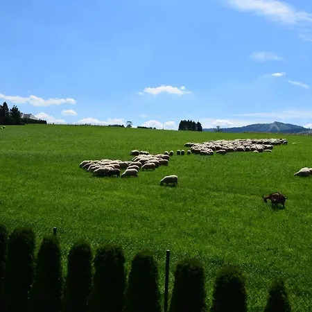 Alojamento de Turismo Selvagem Lawendowe Wzgórze 21 Dom Z Jacuzzi Na Wyłączność *