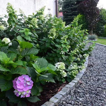 Lawendowe Wzgorze 21 Dom Z Jacuzzi Na Wylacznosc Hytte Wegierska Gorka