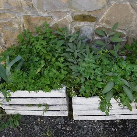 Alojamento de Turismo Selvagem Lawendowe Wzgórze 21 Dom Z Jacuzzi Na Wyłączność *