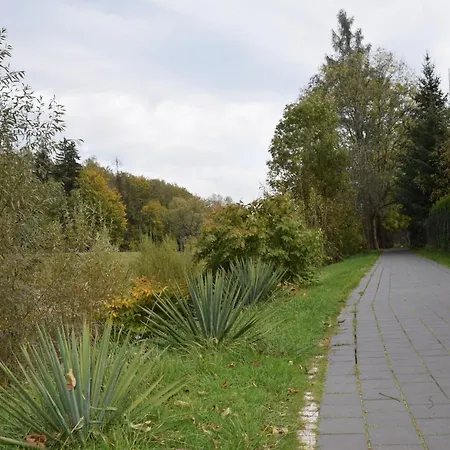 Lawendowe Wzgorze 21 Dom Z Jacuzzi Na Wylacznosc *