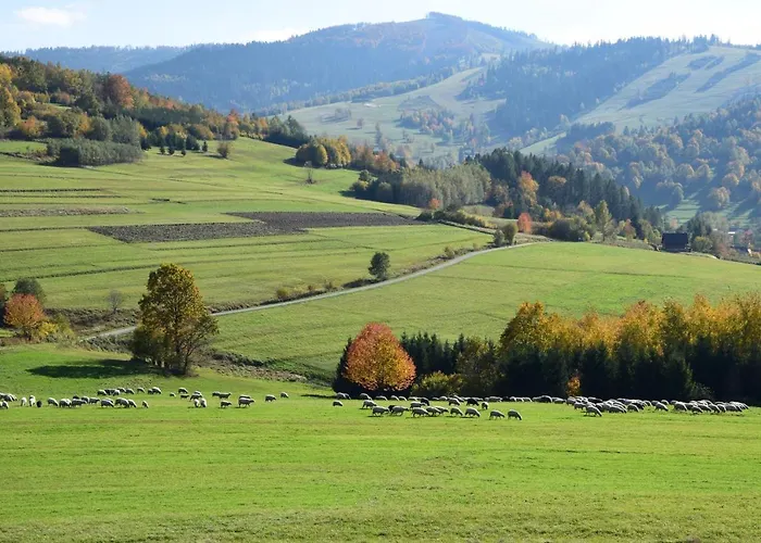 Lawendowe Wzgorze 21 Dom Z Jacuzzi Na Wylacznosc *
