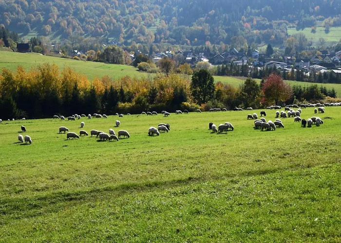 Lawendowe Wzgorze 21 Dom Z Jacuzzi Na Wylacznosc *