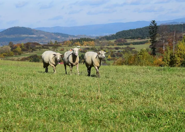 Lawendowe Wzgorze 21 Dom Z Jacuzzi Na Wylacznosc Chata Wegierska Gorka
