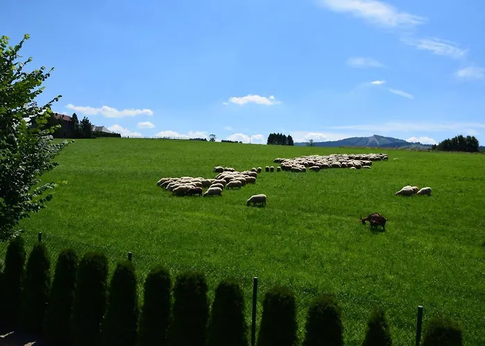 Chata Lawendowe Wzgorze 21 Dom Z Jacuzzi Na Wylacznosc *