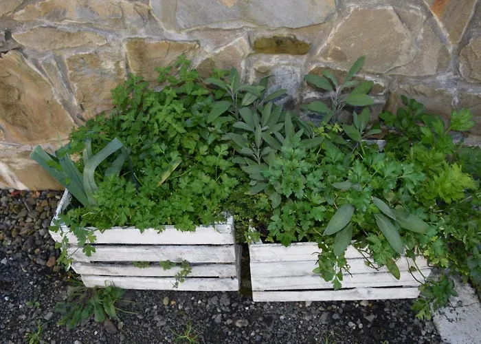 אכסניה Lawendowe Wzgorze 21 Dom Z Jacuzzi Na Wylacznosc *