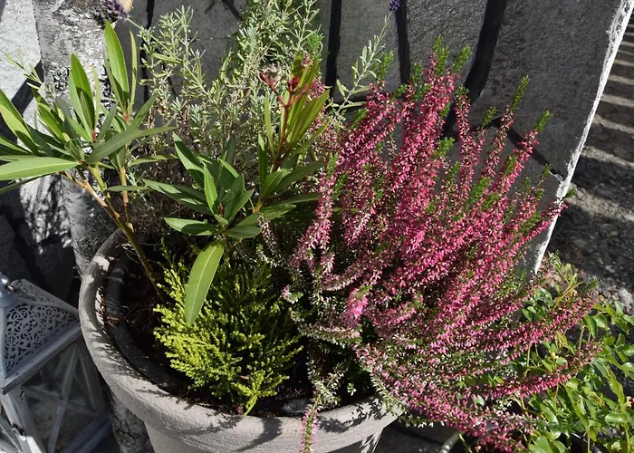 Chata Lawendowe Wzgorze 21 Dom Z Jacuzzi Na Wylacznosc Wegierska Gorka