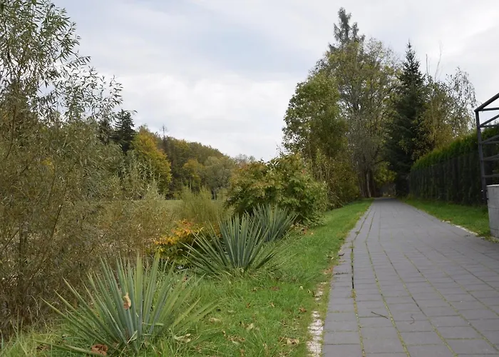 Lawendowe Wzgorze 21 Dom Z Jacuzzi Na Wylacznosc *